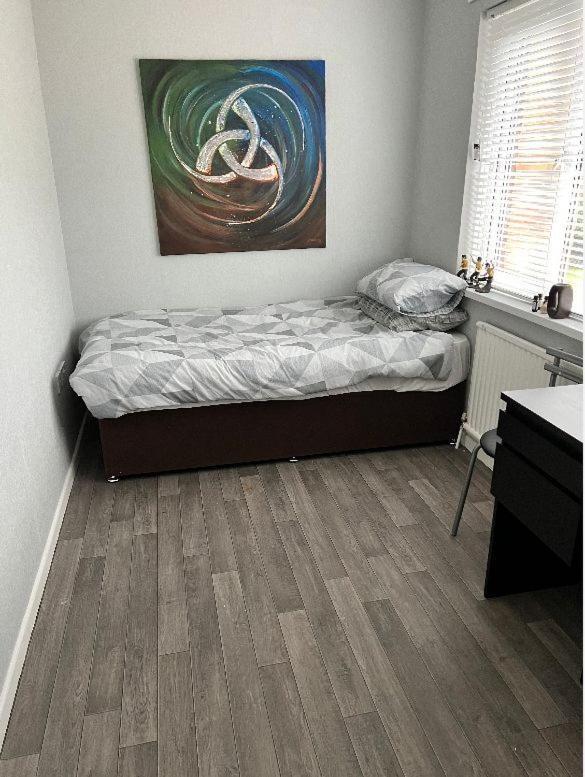 Macs Belfast Single Bedroom Eksteriør billede