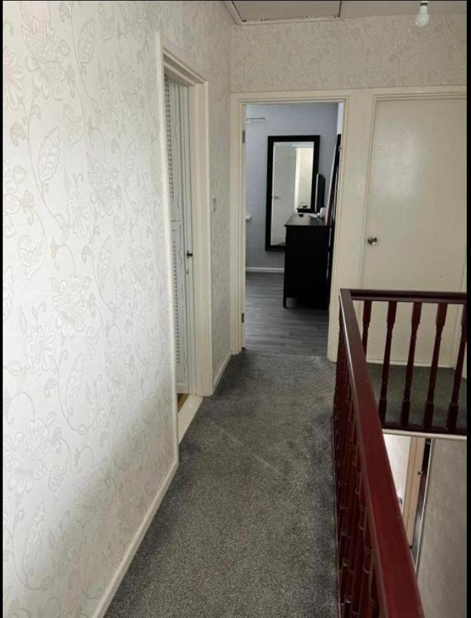 Macs Belfast Single Bedroom Eksteriør billede